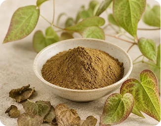 Pine Bark Extract used in HoneyFil
